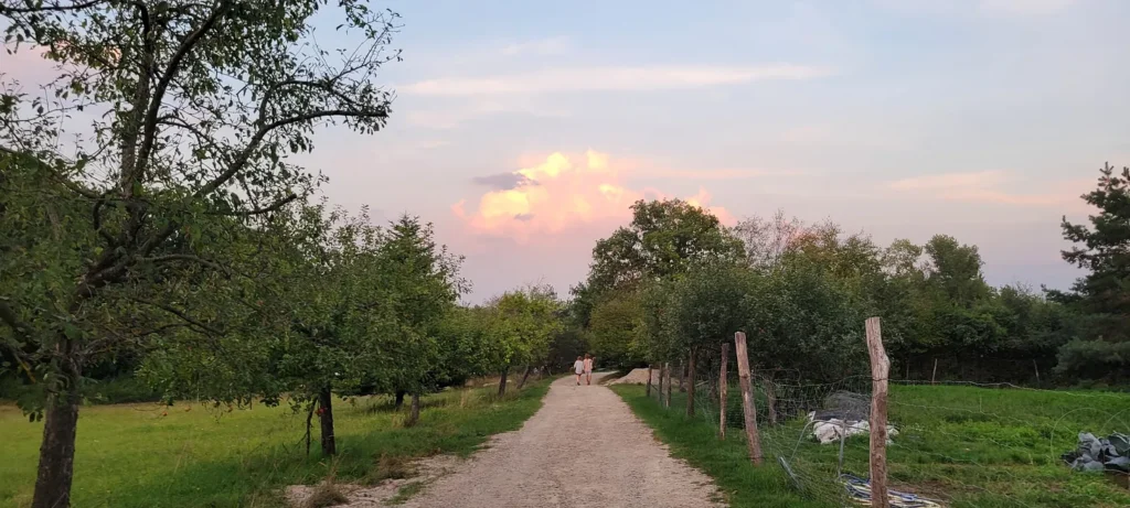 Two distant figures walking across the campsite at dusk